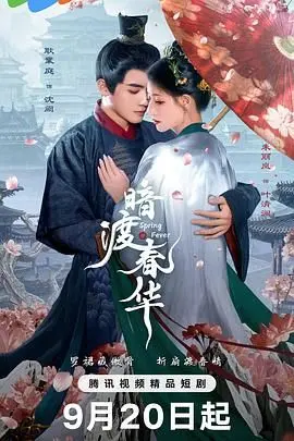 暗渡春华 海报