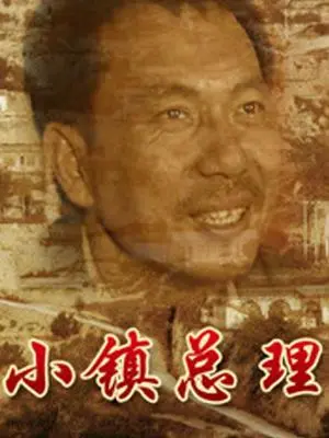 小镇总理 海报